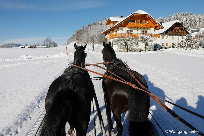 Christmas Horse-Drawn Sleigh/Carriage Ride from Salzburg - The sleigh ride itself: blankets, bells, and slow-motion fun