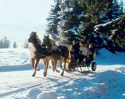 From Salzburg: Ramsau Day Trip with 1-hour Carriage Ride - The coach ride out of Salzburg: comfort on curvy mountain roads