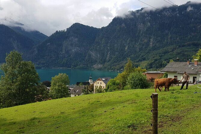 Salzburg Small-Group Day Trip from Vienna - Salzburg Altstadt Free Time: How to Use Your 2.5 Hours