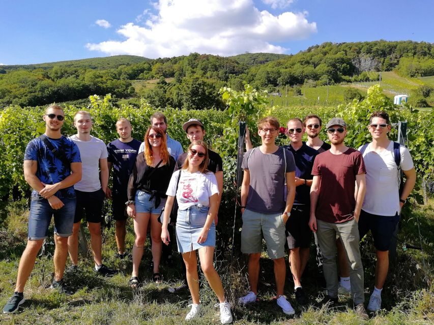 Vienna: Full-Day Vienna Woods Wine Tasting Tour - Price and value: is $187 per person worth it