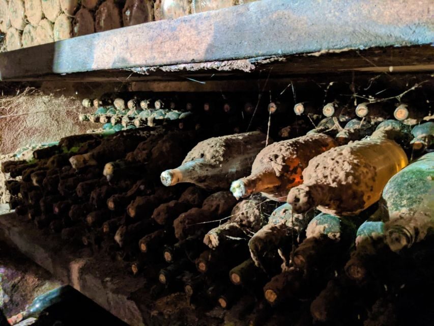 Vienna: Full-Day Vienna Woods Wine Tasting Tour - Getting there and timing: what a full 510-minute day feels like