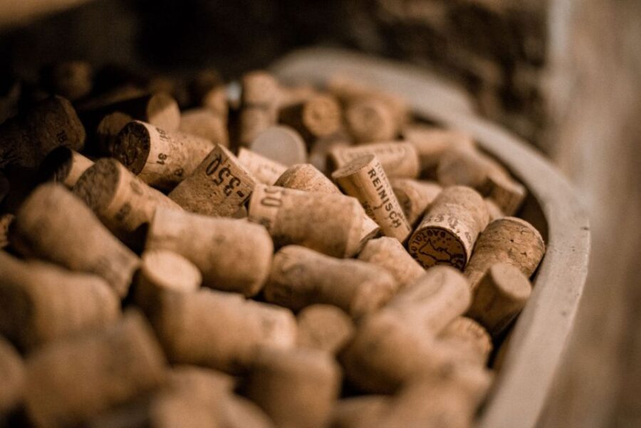 Vienna: Hidden Wine Cellars Tasting Experience - Meeting Point: Alte Feldapotheke by Stephansplatz