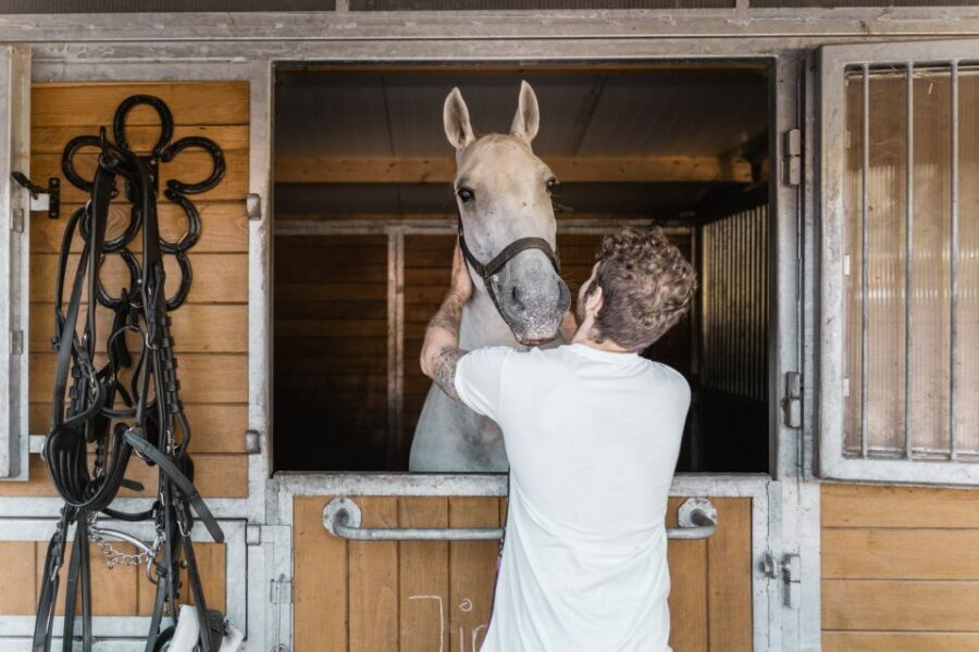 Vienna: Secrets of the Fiaker & Horse-Drawn Carriage Ride - The 30-Minute Stable Tour: What Fiakers Do Before You Ever Sit Down