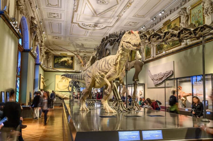 Vienna: Ticket to the Museum of Natural History - Your one-day ticket: how to use the museum’s two-floor system