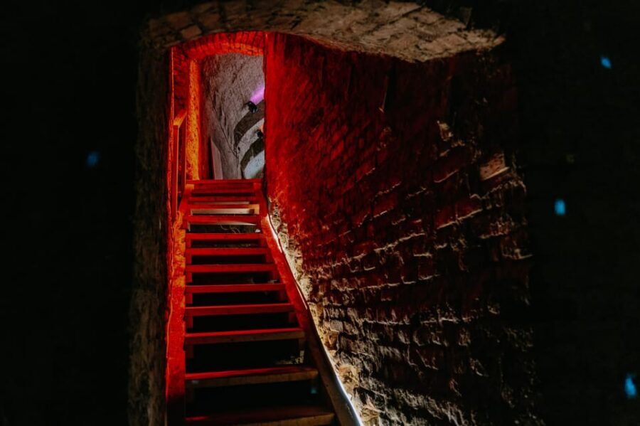 Vienna: Viennese Underworld Guided Walking Tour - Choosing Your Tour Option: WWII, Pharmacy Cellars, Shelters, or Refuge